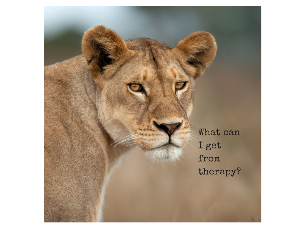 What can I get from therapy-